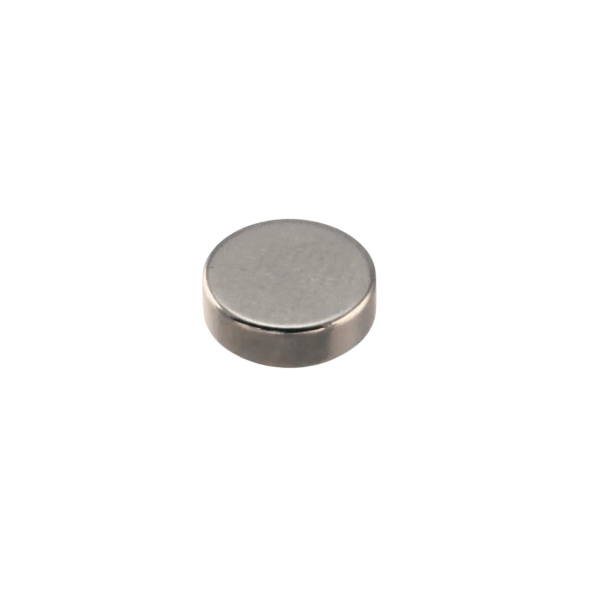 Scalextric | Magnet | Neodymium | Round - 8x3mm | W8344 / W8885* | 1/32 Slot Car Parts